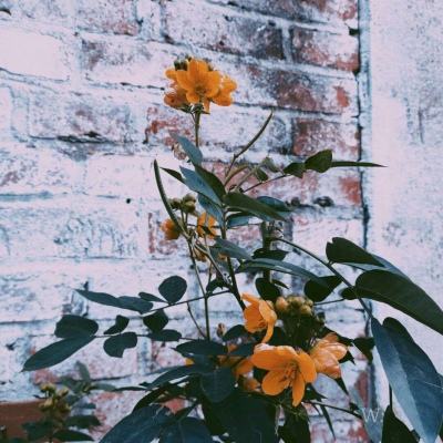 kaiyun体育最新版截图