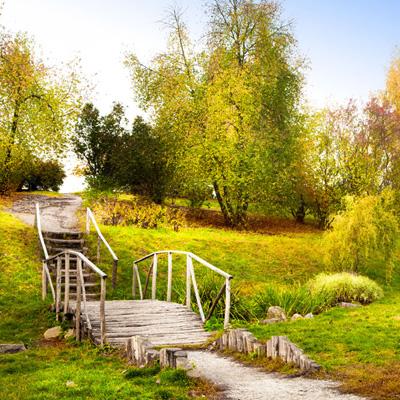 金沙集团9500下载手机版截图